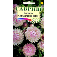 Гелихризум серебряная Роза (гавриш)